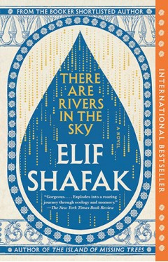 There Are Rivers in the Sky: A Novel